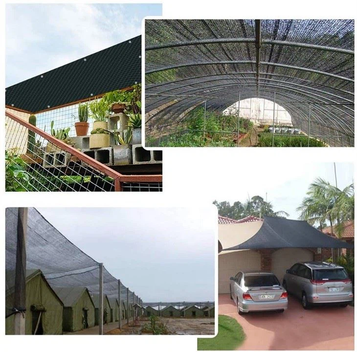 71SHIdwPneL._AC_SL1000_